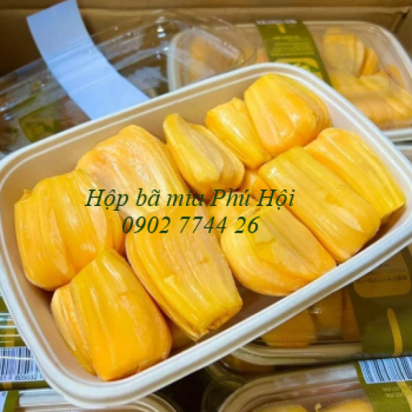 Hộp bã mía 1 ngăn to kèm nắp nhựa PET 850ml tại Quận 10 TP.HCM
